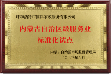 服務(wù)業(yè)標準化試點